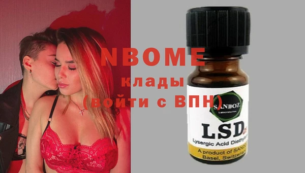 ешки Бородино