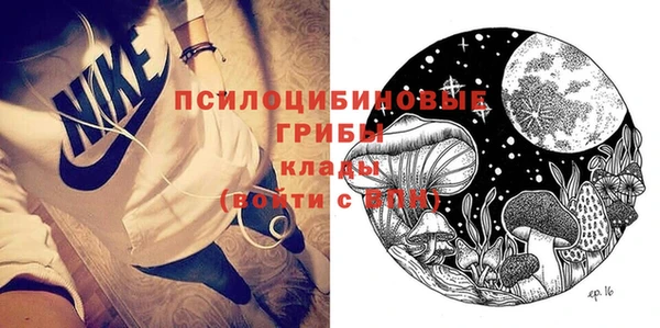 ешки Бородино