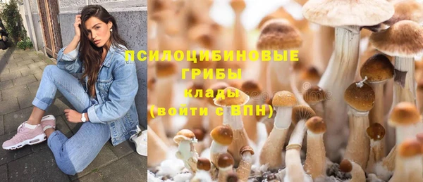 мет Бронницы
