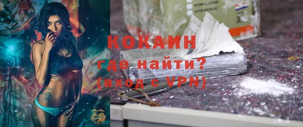 ешки Бородино