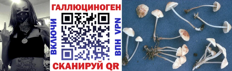 Галлюциногенные грибы MAGIC MUSHROOMS Щёлково
